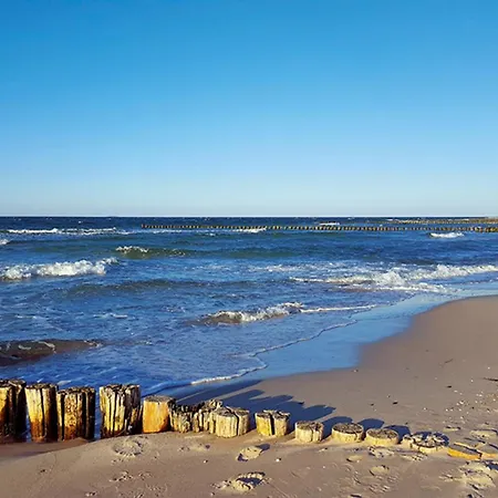 Apartamento Haus Kranich 1 Nr 1 Zingst